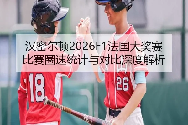 汉密尔顿2026F1法国大奖赛比赛圈速统计与对比深度解析