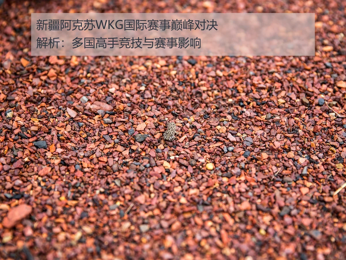 新疆阿克苏WKG国际赛事巅峰对决解析:多国高手竞技与赛事影响